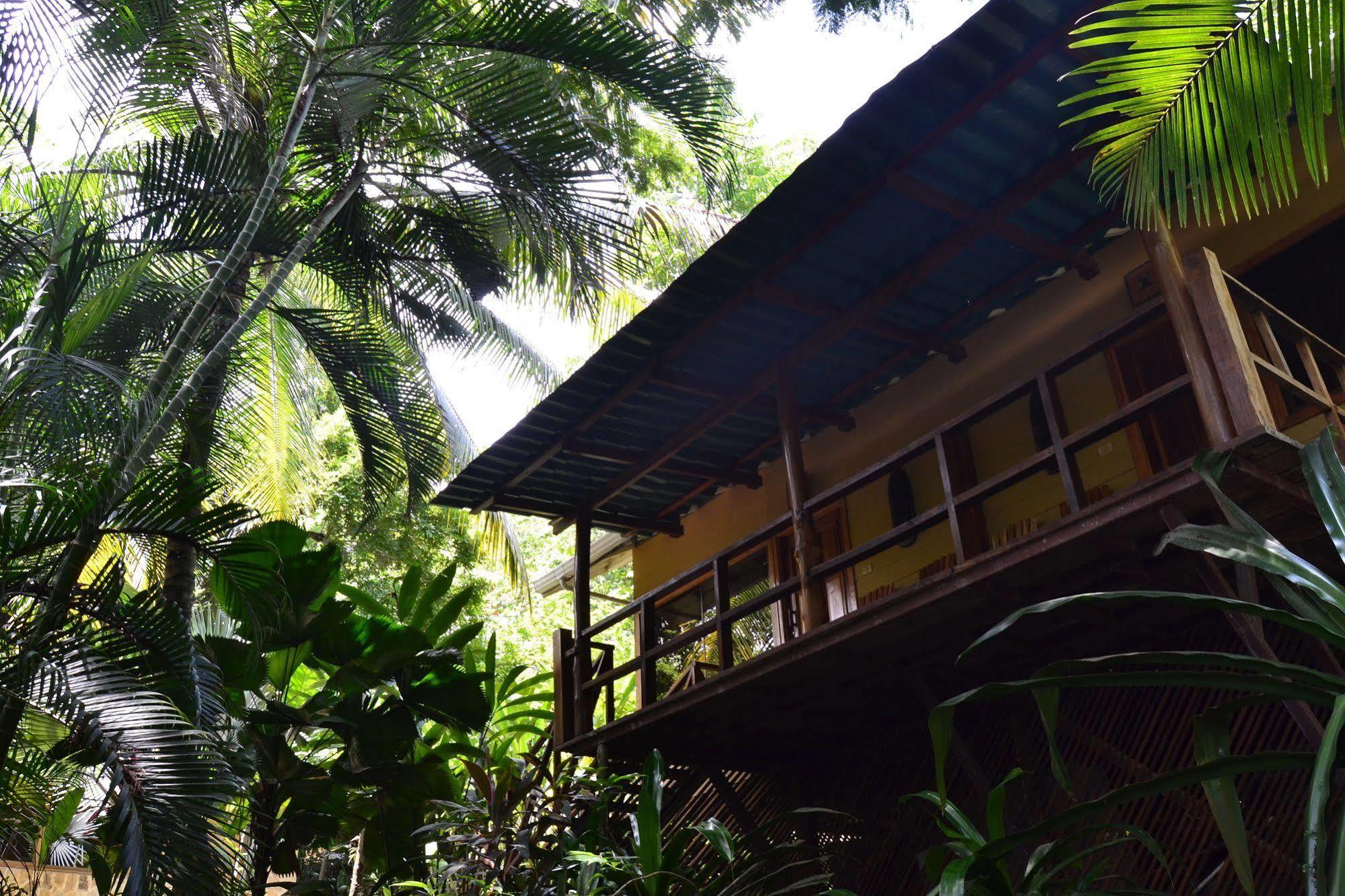 Cielo Del Mar Otel Nicoya Dış mekan fotoğraf