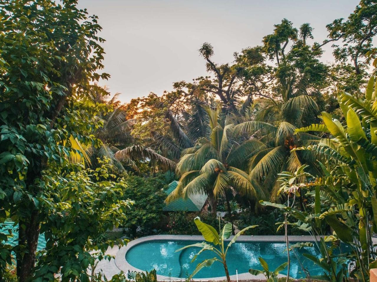 Cielo Del Mar Otel Nicoya Dış mekan fotoğraf
